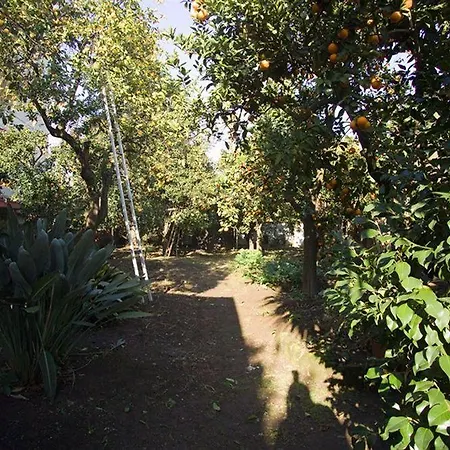 Maison Susy 3*