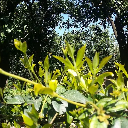 ゲストハウス Maison Susy 4*