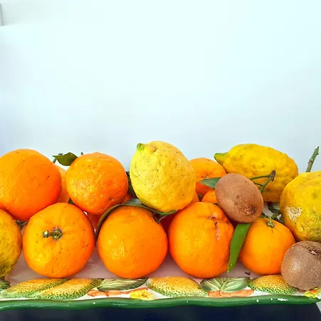 ゲストハウス Maison Susy 4*