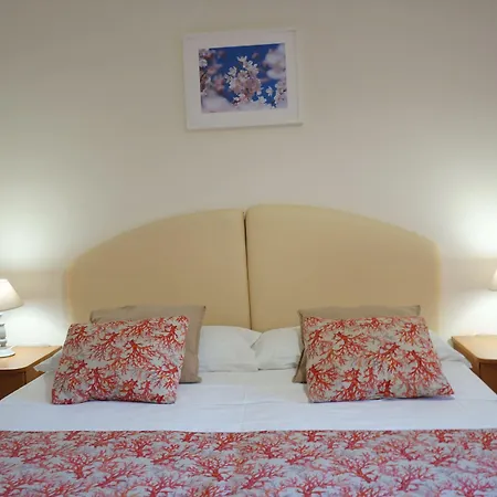 Maison Susy ゲストハウス