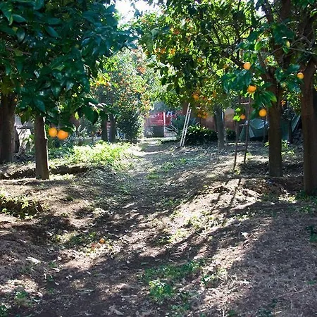 Maison Susy 4* サンタニェッロ