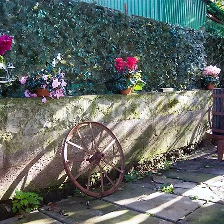 ゲストハウス Maison Susy 4*