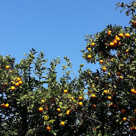 Maison Susy 4* Sant'Agnello