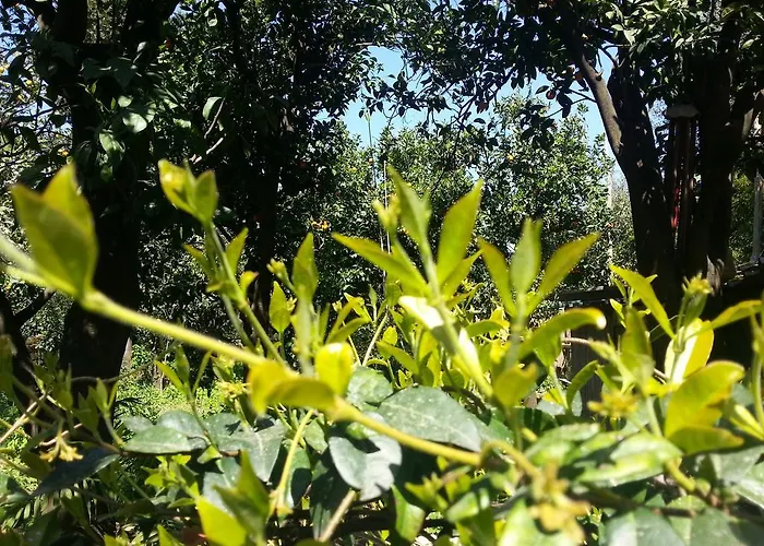 Pensión Maison Susy 4*